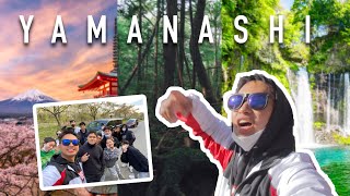 ROADTRIP IN JAPAN! YAMANASHI PREFECTURE!