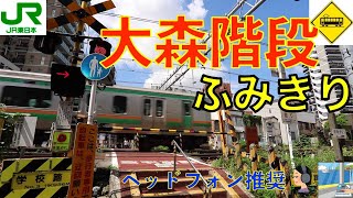 【踏切】大森階段踏切　JR東海道本線　Japan Railway crossing JR Tokaido LINE RAILWAY(Tokyo japan)