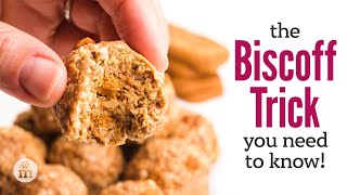 Make These Biscoff Protein Balls the Healthy Way!