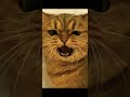 Cat VS Snake Funny Complication😂 Cat singing aaaaaa song😛 #shorts #viral #funedit #funny #cats #op