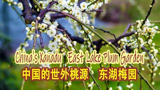 Beautiful China East Lake Plum Garden