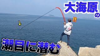 潮目から飛び出してきたその魚は・・・！？