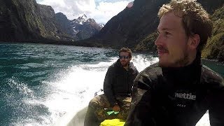 [Part 1] Diving roadtrip to the Catlins, Fiordland (Milford Sound) NZ