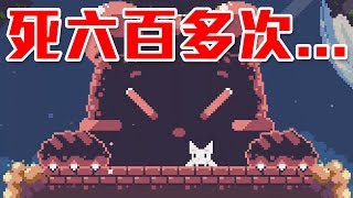 【音量注意】臭大熊我揍死你!!!😡😡😡｜飛天萌貓 Cat Bird World 3 Winda