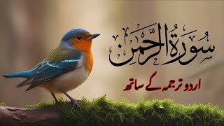 Surah Rehman Tarjuma ke Sath | Qari Al Shaikh Abdul Basit Abdul Samad | islamic Edits 0168