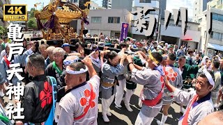 【亀戸天神社】本社神輿の菊川1丁目渡御　～2024年例大祭～