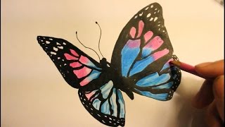 How to draw a butterfly for kids