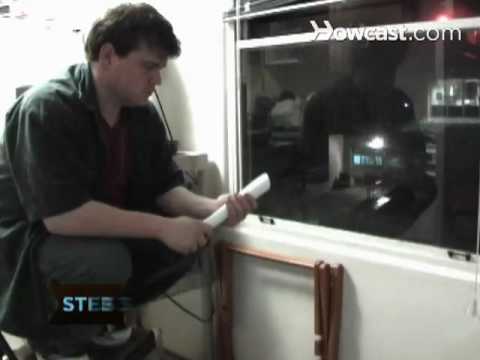 How to Get Rid of Carpet Beetles How to Get Rid of Carpet Beetles