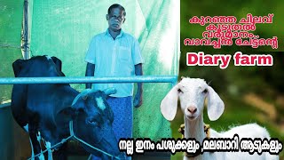 കുറഞ്ഞ ചിലവ് കൂടുതൽ വരുമാനം | ഒരു സാധാരണക്കാരൻ്റെ പശു വളർത്തൽ | Profitable Diary farm | Cow farm