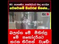 මැදපෙරදිග ගෘහසේවිකාවක් විදින දුක ඔබේ කෙනෙක් යවන්න කලින් හිතන්න