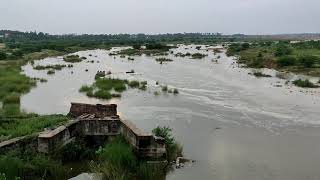 காஞ்சிபுரம் பாலாற்றில் வெள்ளம் வரும் காட்சி