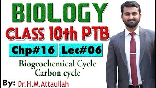 Biogeochemical Cycle | Carbon cycle | | Chapter # 16 | Biology Class 10th | Lec# 6