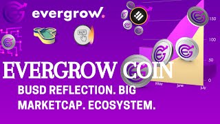 EverGrow Coin - Meme Coin? Get BUSD As Reflection. Large Marketcap. Ecosystem.