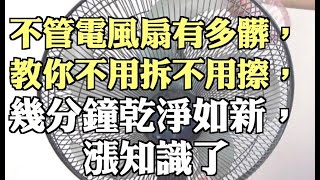 不管電風扇有多髒，教你不用拆不用擦，幾分鐘乾淨如新，漲知識了