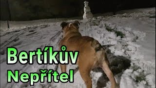 Nalezena farma na velociraptory !!! // Záhadné zvuky ze tmy // Bertíkův Boss z Dark Souls