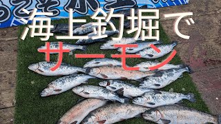 即掛サーモン！水宝サーモンの釣り方