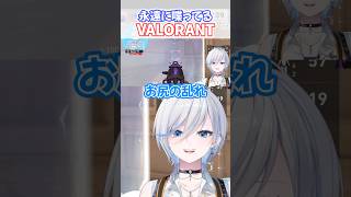 【#valorant】このVtuberは何考えて喋ってるんだろうな。わっかんねぇや #vtuber #新人Vtuber #浅葱ライカ