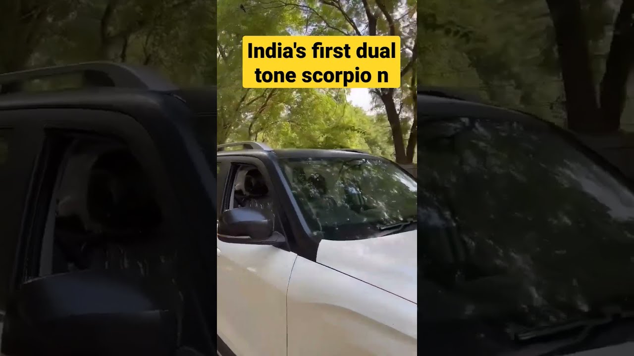 India's First Dual Tone Scorpio N 😍 #shorts #mahindra #mahindrascorpion ...