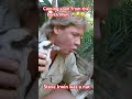 steve irwin introduces. the fighting kookaburra 😆🤣