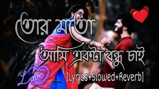 Tor Motoi Ami Ekta Bondhu Chai |  তোর মতো আমি একটা বন্ধু চাই | Bangla Lofi song  | 2024