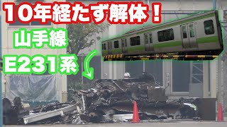 【10年経たず解体】運命を分けたE231系4600番台について解説