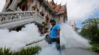 Thailand records about 200 Zika Virus cases