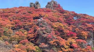 大船山御池紅葉2