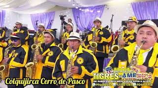 Orquesta Tigres de América - Colquijirca Cerro de Pasco 2024