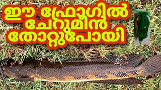 ഈ ഫ്രോഗിൽ ചേറുമീൻ തോറ്റു പോയി|| SNAKEHEAD ||   Snakehead|| Fishing||#Karipuzha star fishing channel#