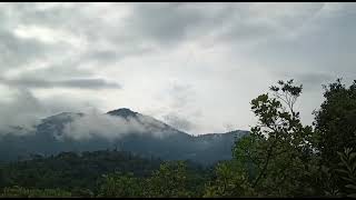 ಪ್ರಕೃತಿಯ ಮಡಿಲಲ್ಲಿ 🌱