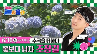 [LIVE] 울라울라 울산 라이브 여행 _ 장생포 수국 페스티벌