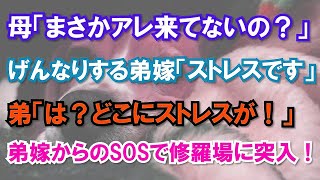 母「まさか月のモノ来てないの？」げんなりする弟嫁「ストレスです…」弟「は？どこにストレスが！」弟嫁からのSOSで修羅場に突入！