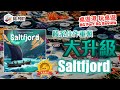 北灣漁村 Saltfjord (Aporta Games)︱桌遊港 玩桌遊 BG Port Review(483)︱骰系佳作重製 大升級