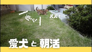 【日常vlog】早起きできた朝は寒いけど愛犬と一緒にお庭で朝活🐶