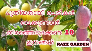 10 fruit varieties to be planted for new gardeners പുതിയതായി വെക്കുന്നവർ തിരഞ്ഞെടുക്കേണ്ട 10 ഇനങ്ങൾ.