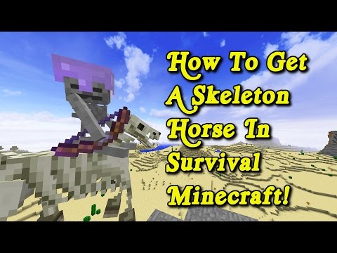 Minecraft Tutorial - How To Get A Skeleton Horse In Survival Minecraft! Minecraft Tutorial - How To Get A Skeleton Horse In Survival Minecraft!