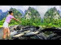 TIMELAPSE video girl and planet fishing the world's simplest large fish trap