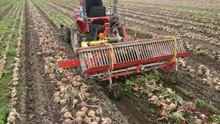 Agriculture Machines Videos(onion digger) Part040-17 【ASHORAGRI】