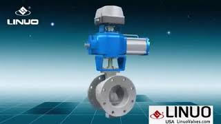 Segmented Ball Valves
