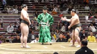 Masunosho (1-4) - Terutsuyoshi (2-3) , Sumo : Natsubasho '15