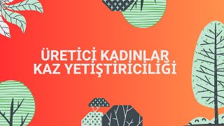 ÜRETİCİ KADINLAR | KAZ YETİŞTİRİCİLİĞİ