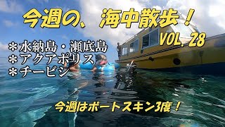 今週の海中散歩！（スキンダイビング）VOL.28　今週は、ボートスキンダイビング3回！