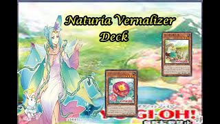 Naturia Vernalizer Deck FT. New Cards Insane synergy June.2022 yugioh edopro ナチュリア・バーナライザー・デッキ