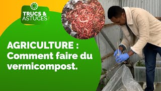 Vermicompostage: Comment produire du vermicompost