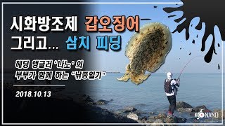 인천권 시방(시화방조제) 갑오징어 워킹 그리고 간조타임 삼치 루어낚시