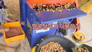 21.10.6 땅콩까기#땅콩#땅콩탈피기#기계가조아요