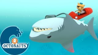 Octonauts - Le requin incompris | Dessins animés pour enfants