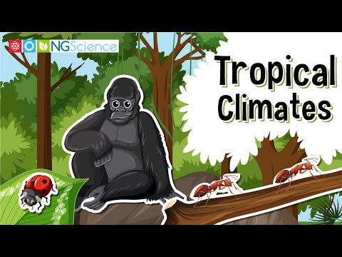 What are considered tropics?