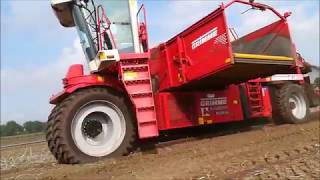 Potato harvest | Grimme SF 150-60 | Fendt + Grimme SE 150-60 | Kuunders Deurne