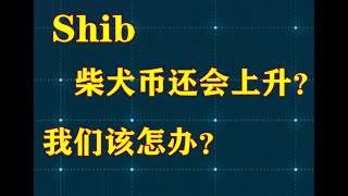 #柴犬币Shib，#虚拟货币，#元宇宙，柴犬币Shib还会上涨？我们该怎办？本频道是油管唯一以传统六爻为主的综合性预测频道，也是第一个用周易测各类数字币及足球比赛的频道，成功预测比特币，二狗币，以太坊